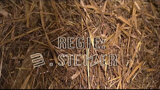 D &#039; Sennenlutschi