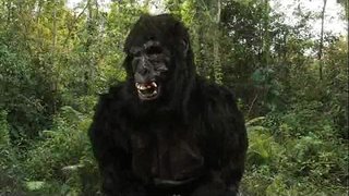 ���ုဒေါင်&amp;#၀၃၉;့၄၀oz ရုတ်တရက်ခုန်လွှား!